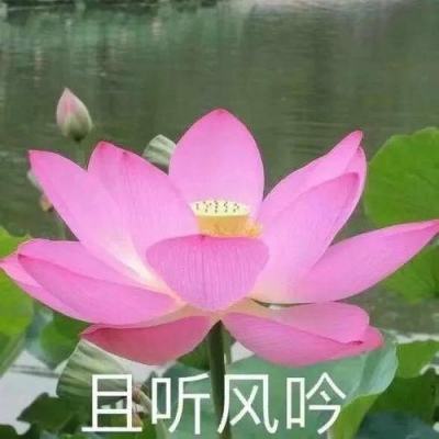 贵州省纪委通报5起违反中央八项规定精神典型问题